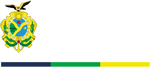 Brasão Governo do Amazonas